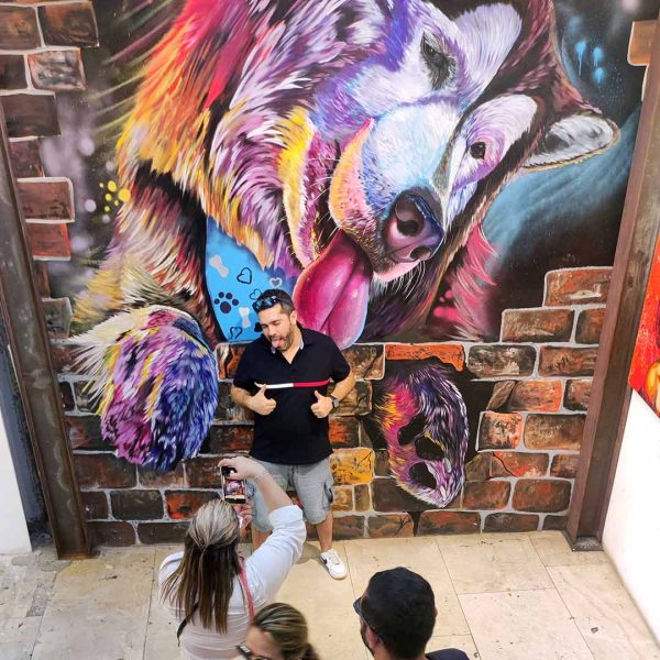 Grafitour Comuna 13 con Medellín de Cerca