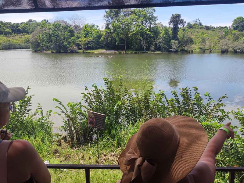 Tour Hacienda Nápoles - Medellín de Cerca