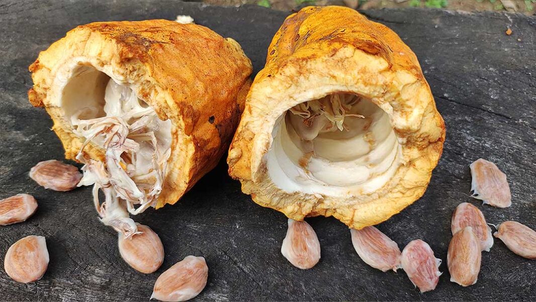 Tour Rafting - Medellín de Cerca